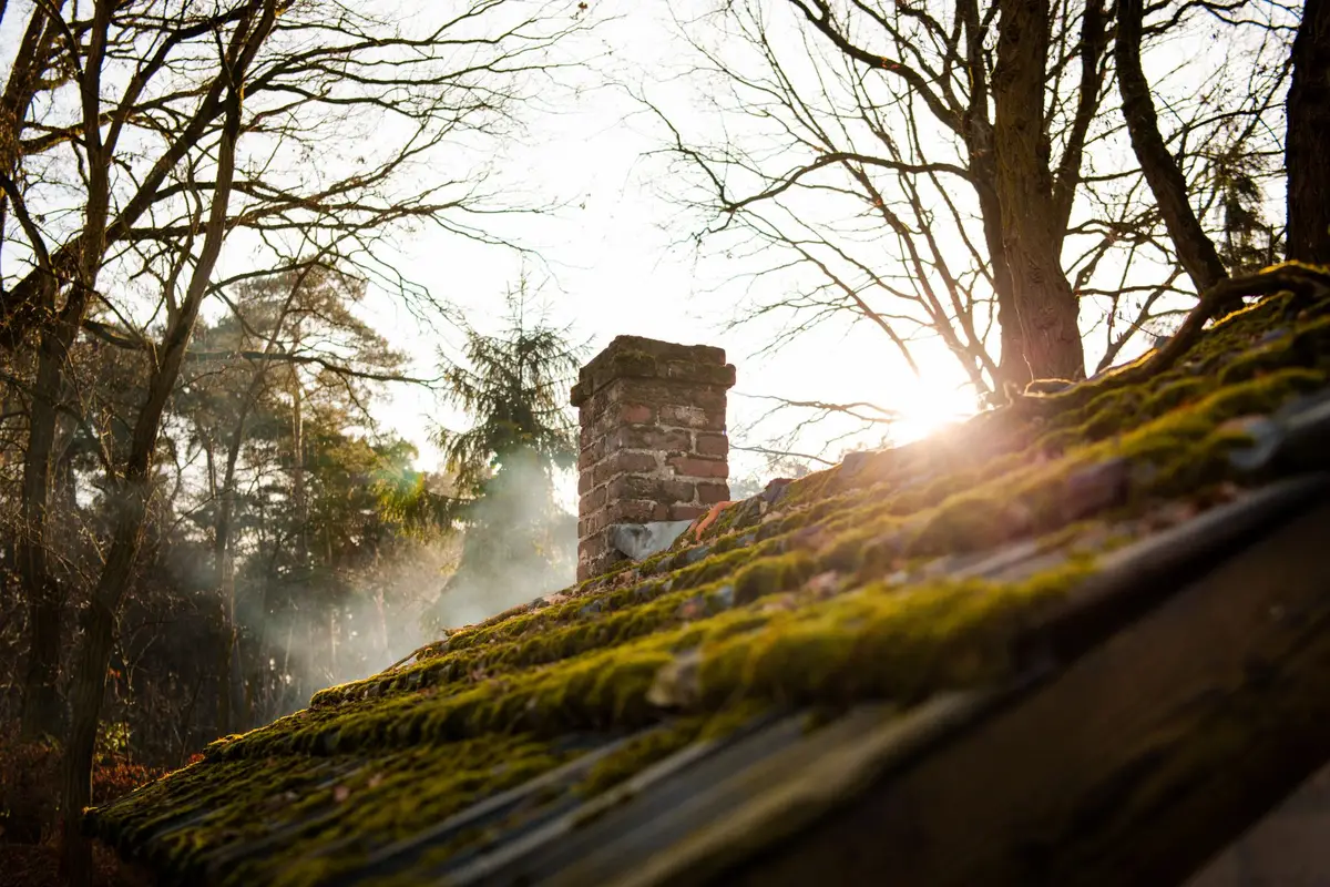 Thick green moss along a tiled roof beside a brick chimney, with trees overhanging