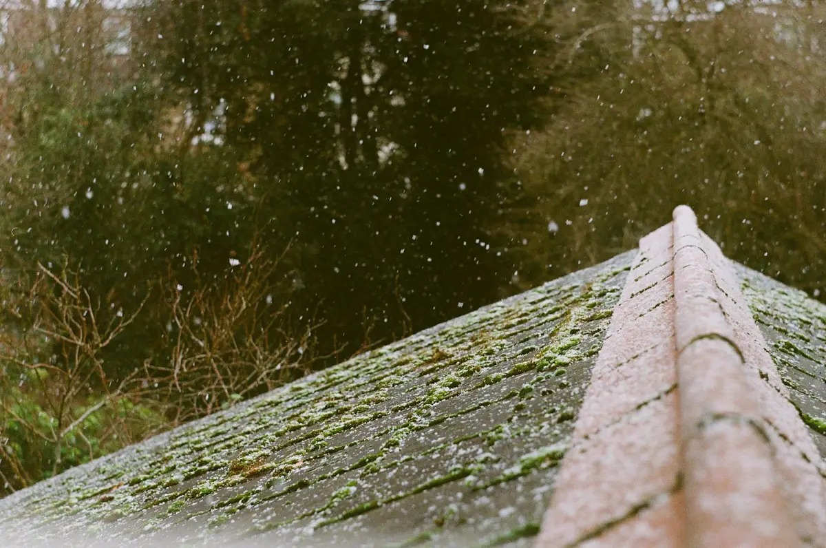 Snow falling past a moss-covered roof with a ridge line, bare trees behind