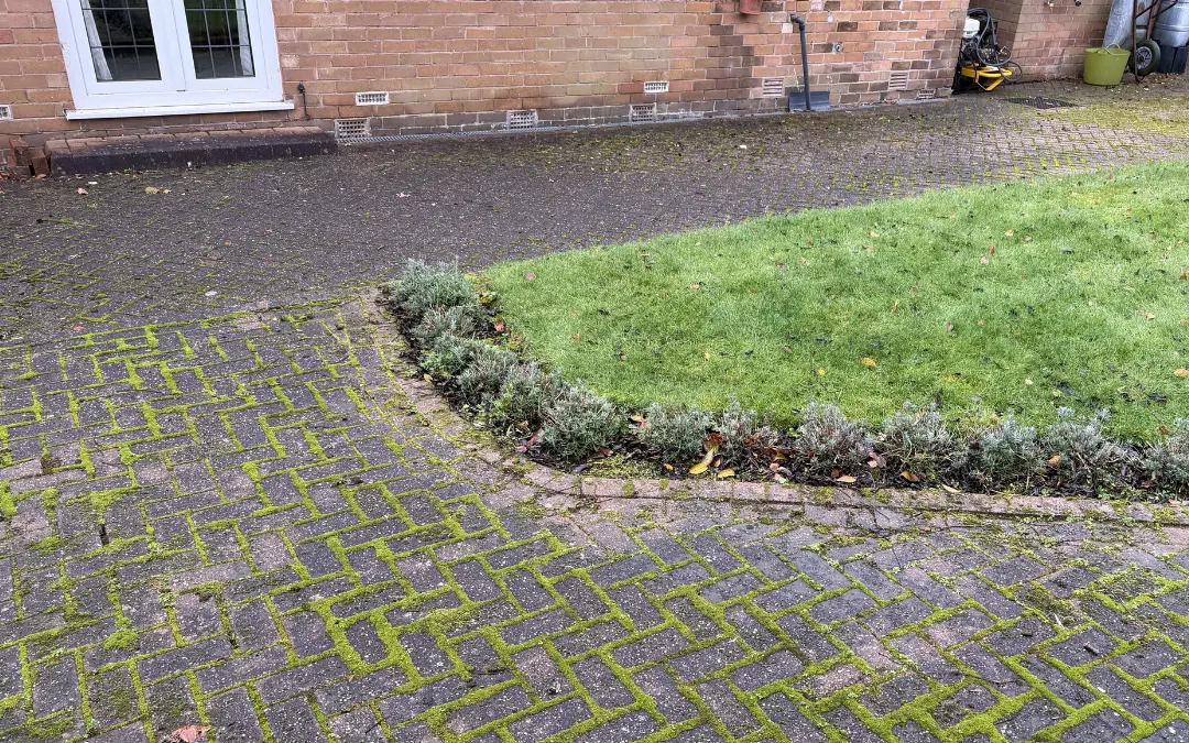Block paving covered in moss with weeds through the joints