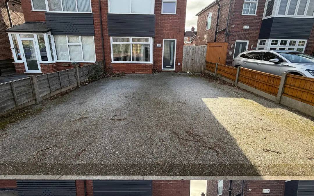 A dirt-covered enclosed rear yard before cleaning