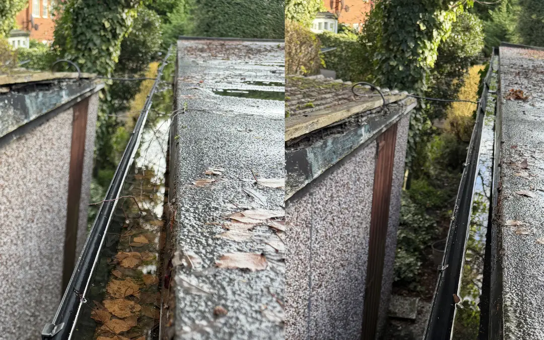 A gutter full of silt, moss and leaf litter